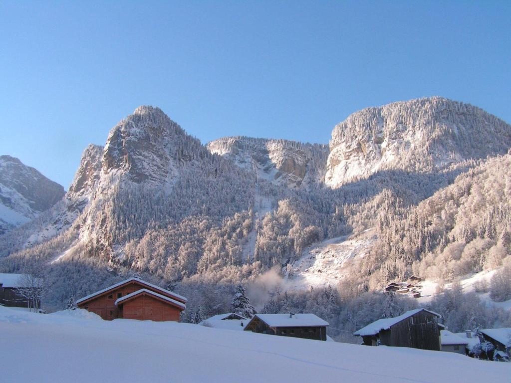 Chalet Narcisse Sixt Zimmer foto
